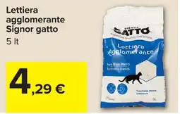 Carrefour Lettiera agglomerante Signor gatto offerta