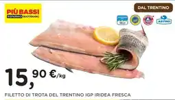 Orvea FILETTO DI TROTA DEL TRENTINO IGP IRIDEA FRESCA offerta