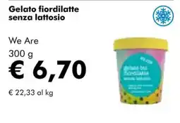 NaturaSì Gelato fiordilatte senza lattosio We Are offerta