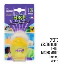Conad Ovetto assorbiodori frigo Mister Magic limone, aceto offerta