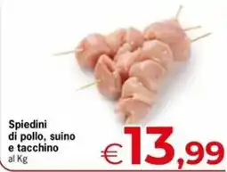 Eurospar Spiedini di pollo, suino e tacchino offerta