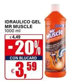 Il Gigante IDRAULICO GEL MR MUSCLE offerta