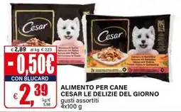 Il Gigante ALIMENTO PER CANE CESAR LE DELIZIE DEL GIORNO offerta