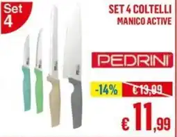 Satur SET 4 COLTELLI MANICO ACTIVE PEDRININI offerta