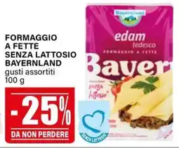 Il Gigante Formaggio a fette senza lattosio Bayerenland offerta