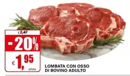 Il Gigante LOMBATA CON OSSO DI BOVINO ADULTO offerta