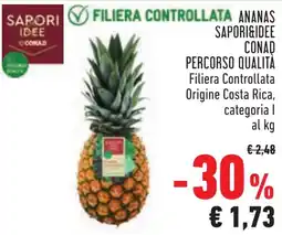 Conad ANANAS SAPORI&IDEE CONAD offerta