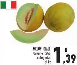 Conad MELONI GIALLI offerta