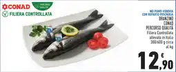 Conad BRANZINO CONAD PERCORSO QUALITÀ offerta