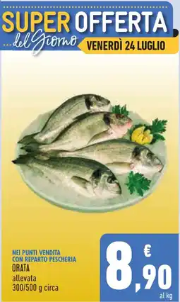 Conad ORATA allevata offerta