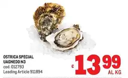 Metro Ostrica special uagnedd n3 offerta