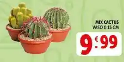 Deco Supermercati Mix cactus offerta