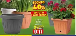 Maury's VASI TERRA offerta