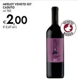 Bennet MERLOT VENETO IGT CADUTO offerta