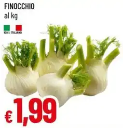 Galassia Finocchio offerta