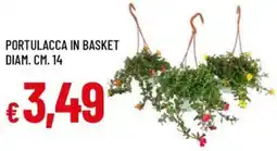 Galassia Portulacca in basket diam. cm. 14 offerta
