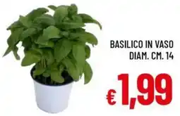 Galassia Basilico in vaso diam. cm. 14 offerta