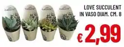 Galassia Love succulent in vaso diam. cm. 8 offerta