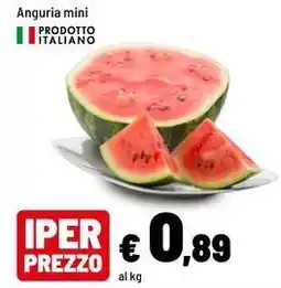 Iper La Grande Anguria mini offerta