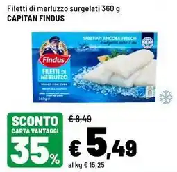 Iper La Grande Filetti di merluzzo surgelati Capitan Findus offerta