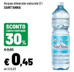 Iper La Grande Acqua minerale naturale Sant'Anna offerta