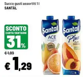 Iper La Grande Succo gusti assortiti Santal offerta