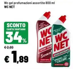 Iper La Grande Wc gel profumazioni Wc Net offerta