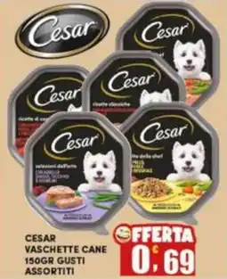 Maury's Cesar vaschette cane offerta