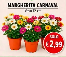 èccoMI Margherita carnaval offerta