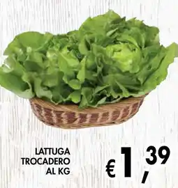 èccoMI Lattuga trocadero offerta