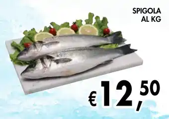 èccoMI Spigola offerta