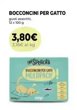 Coop BOCCONCINI PER GATTO offerta
