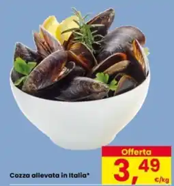 Eurospar Cozza allevata in Italia offerta