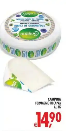 Deco Supermercati Campina Formaggio di Capra offerta
