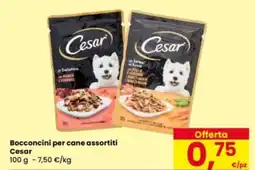 Eurospar Bocconcini per cane Cesar offerta