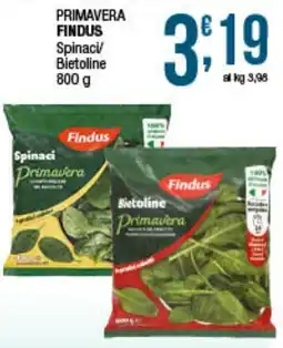 Maxi Sidis Primavera Findus Spinaci/ Bietoline offerta