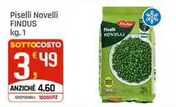 Supermercati Dok Piselli Novelli FINDUS offerta