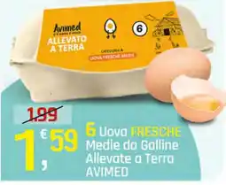 Supermercati Dok 6 Uova FRESCHE Medie da Galline Allevate a Terra AVIMED offerta