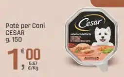 Supermercati Dok Patè per Cani CESAR offerta