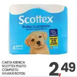 Interspar Carta Igenica Scottex Pulito Completo offerta