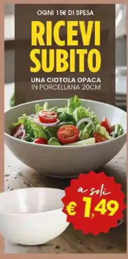 Interspar Ciotola opaca in porcellana 20cm offerta