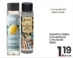 Interspar Shampoo Itinera con Arancia offerta
