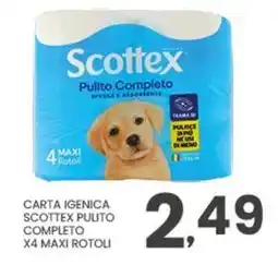 Despar Carta igenica scottex pulito completo offerta