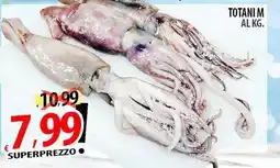 Il Genio Supermercato Totani m offerta