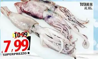 Il Genio Supermercato Totani m offerta