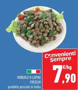 Conad Superstore Vongole o lupini freschi offerta