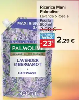 Carrefour Iper Ricarica Mani Palmolive offerta
