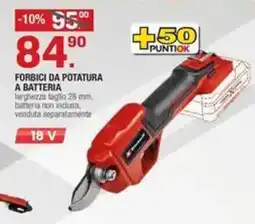 Brico OK FORBICI DA POTATURA A BATTERIA offerta
