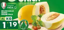 Eurospar MELONE GIALLO DESPAR offerta