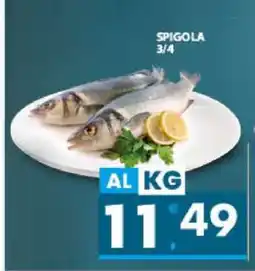 Eurospar Spigola offerta